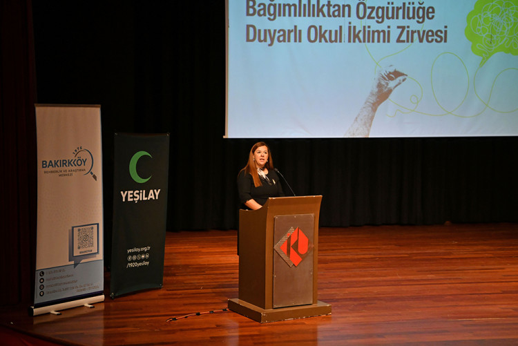 "SCHOOL CLIMATE SUMMIT SENSITIVE TO FREEDOM FROM ADDICTION" 